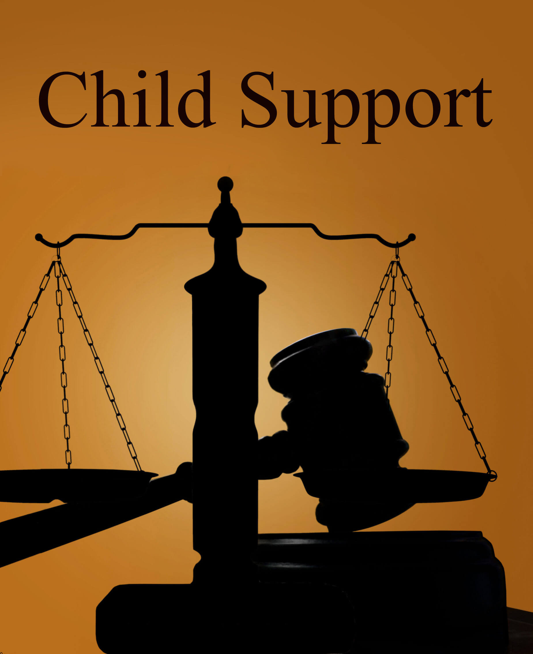 Enforce Child Support