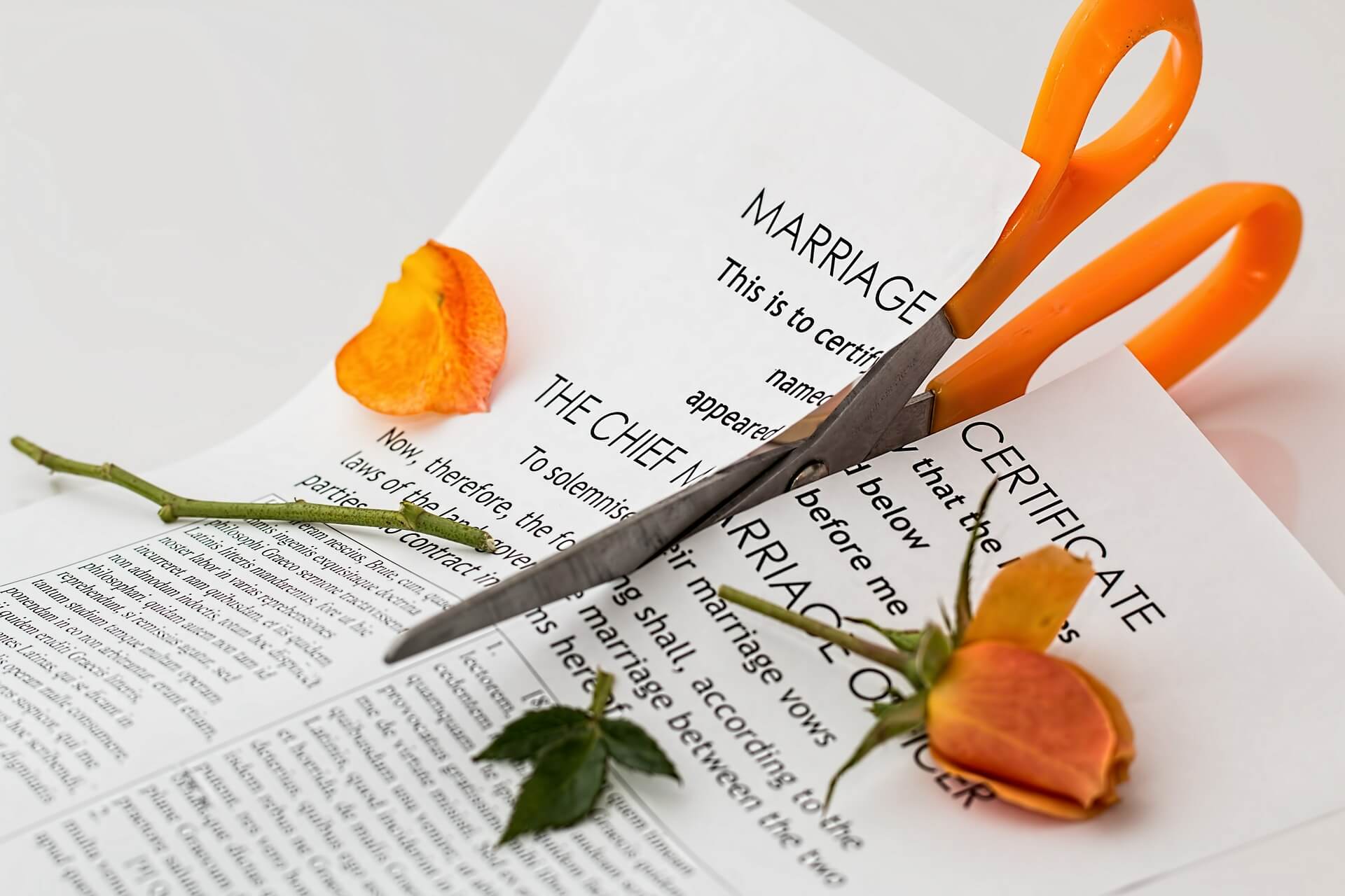 Alimony in Georgia - What does the Law say and who can get it after a marriage fails?