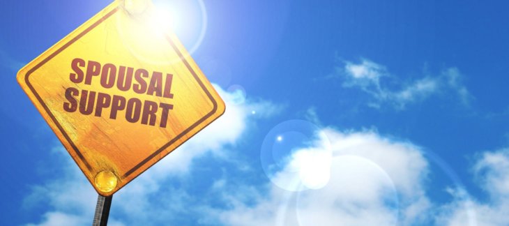 Am i entitled to Alimony? How Spousal Support is Awarded in Georgia by Attorney Sean Whitworth